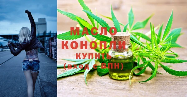 индика Дегтярск