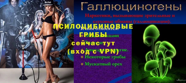 стафф Алзамай