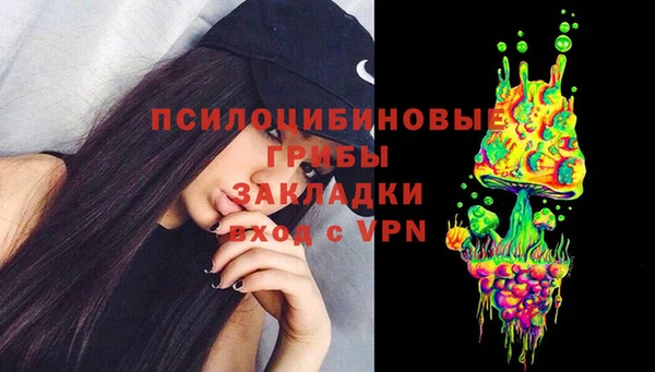 бошки Алексин