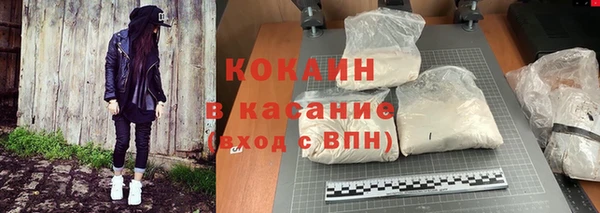 стафф Алзамай