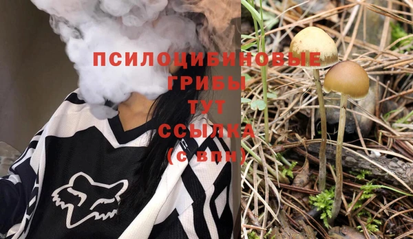 бошки Алексин