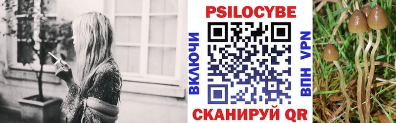 Галлюциногенные грибы мухоморы  купить  сайты  Микунь 