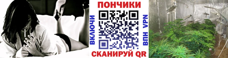 наркотики Микунь Бошки Шишки конопля